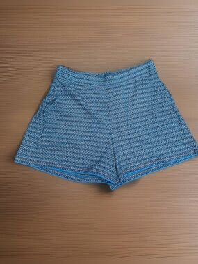 Max Studio Geometric Print  Casual Lighweight dressy shorts~L